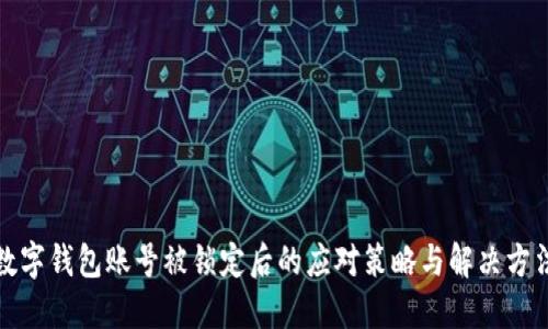 数字钱包账号被锁定后的应对策略与解决方法