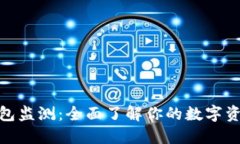 加密钱包监测：全面了解