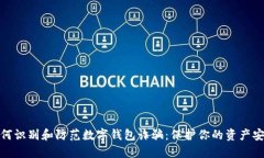 如何识别和防范数字钱包