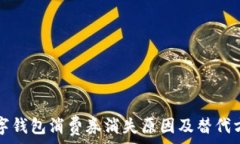   上海数字钱包消费券消失