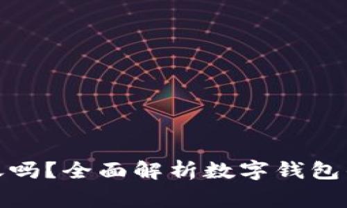 数字钱包放款中能到账吗？全面解析数字钱包的放款流程与常见问题