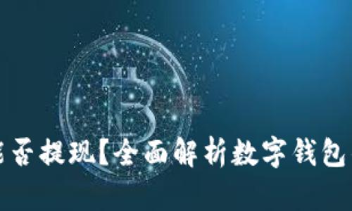 数字钱包能否提现？全面解析数字钱包的提现功能