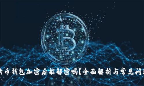 狗币钱包加密后能解密吗？全面解析与常见问题
