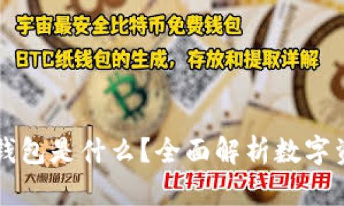 区块链中的钱包是什么？全面解析数字资产管理工具
