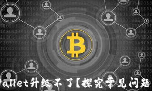 
为什么TPWallet升级不了？探究常见问题与解决方案