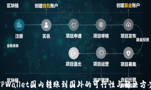 
TPWallet国内转账到国外的可行性与解决方案