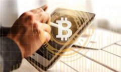   TP Terra 钱包：全面解析及