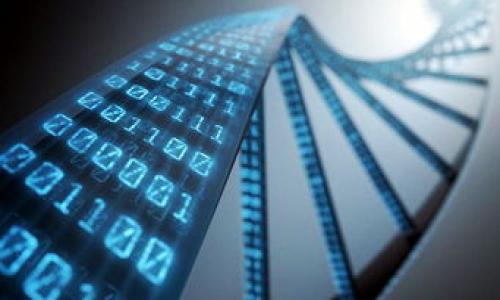 

不同数字钱包共用卡的使用指南与优势探索