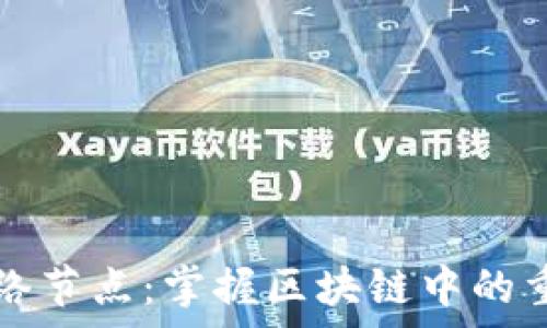  
tpwallet网络节点：掌握区块链中的重要组成部分