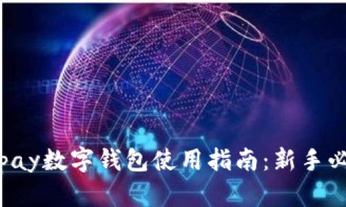 yzpay数字钱包使用指南：新手必看