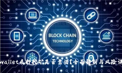 tpwallet质押挖矿是否靠谱？全面解析与风险评估