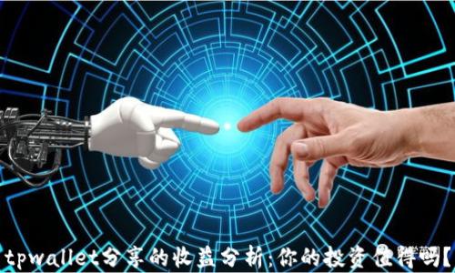 
tpwallet分享的收益分析：你的投资值得吗？