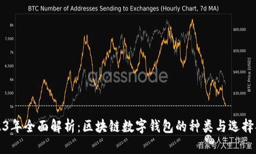2023年全面解析：区块链数字钱包的种类与选择指南