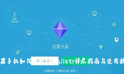 苹果手机如何使用TPWallet：详尽指南与使用技巧