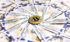 支行对公数字钱包：企业