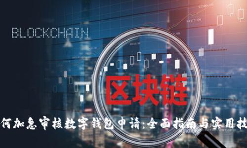 如何加急审核数字钱包申请：全面指南与实用技巧