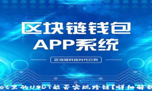 
TPWallet里的USDT能否实现跨链？详细解析与指南