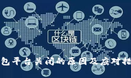 数字钱包平台关闭的原因及应对措施分析