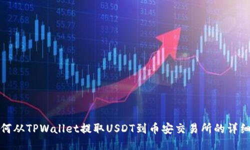 : 如何从TPWallet提取USDT到币安交易所的详细指南