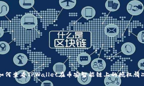 如何查看TPWallet在币安智能链上的授权情况