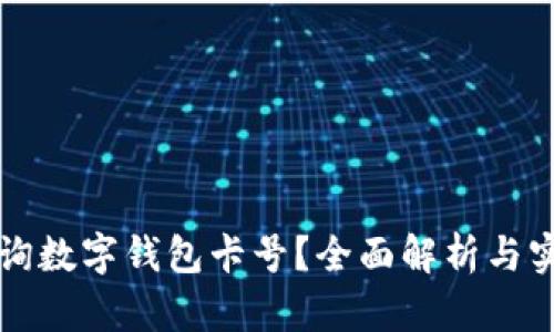 如何查询数字钱包卡号？全面解析与实用指南