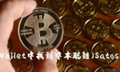 如何在TPWallet中找到中本聪