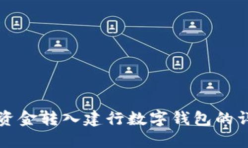 如何将资金转入建行数字钱包的详细指南