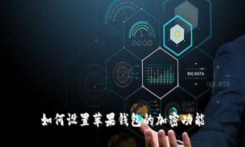 如何设置苹果钱包的加密功能
