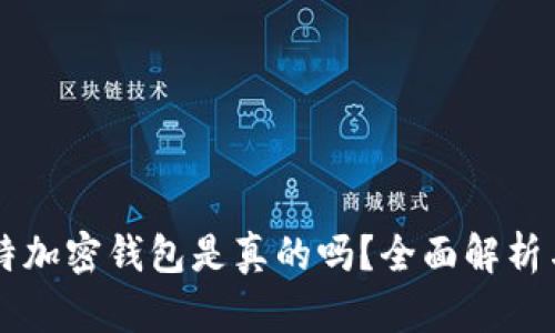 马斯克推特加密钱包是真的吗？全面解析与最新动态