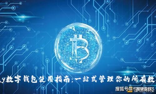 Anypay数字钱包使用指南：一站式管理你的所有数字资产