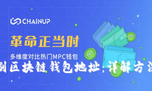 如何识别区块链钱包地址：详解方法与技巧