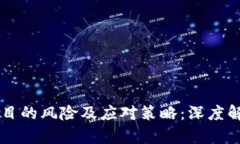 区块链钱包项目的风险及