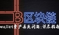 如何解决tpwallet资产丢失问