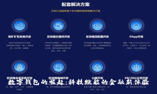 数字钱包的崛起：科技赋能的金融新体验