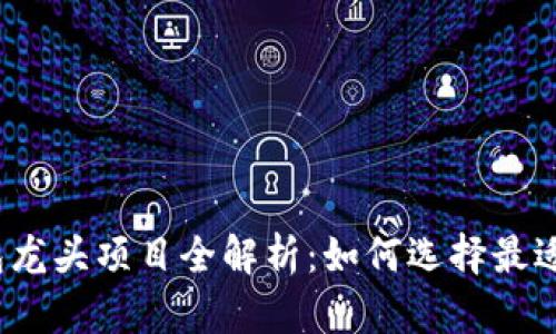 2023年数字货币多链钱包龙头项目全解析：如何选择最适合你的数字资产管理工具