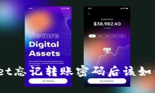 tpwallet忘记转账密码后该如何解决？