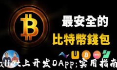 如何在TPWallet上开发DApp：