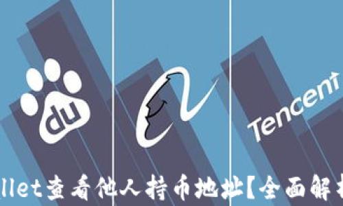 
如何在TPWallet查看他人持币地址？全面解析与实用技巧