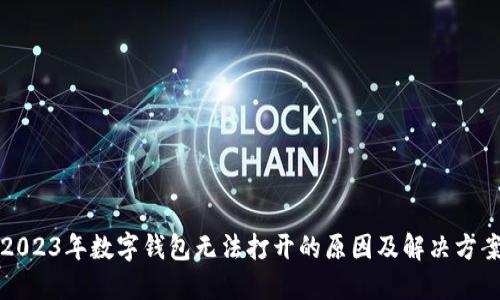 2023年数字钱包无法打开的原因及解决方案
