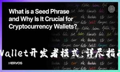 如何使用TPWallet开发者模式：详尽指南与实用技巧
