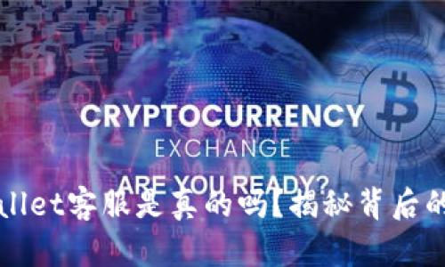 电报上TPWallet客服是真的吗？揭秘背后的真相与风险