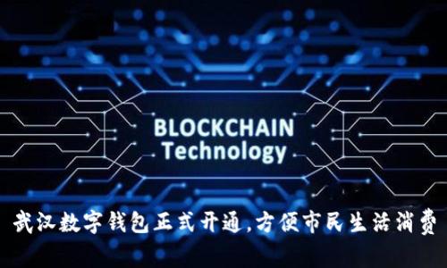 武汉数字钱包正式开通，方便市民生活消费