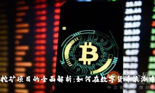 TPWallet挖矿项目的全面解析：如何在数字货币浪潮中把握机遇