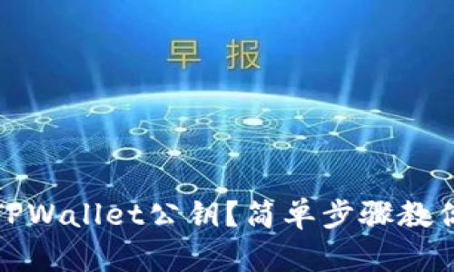 如何查看TPWallet公钥？简单步骤教你轻松获取