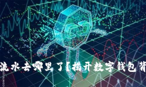 数字钱包流水去哪里了？揭开数字钱包背后的秘密