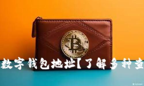 如何高效查询数字钱包地址？了解多种查询方式与技巧