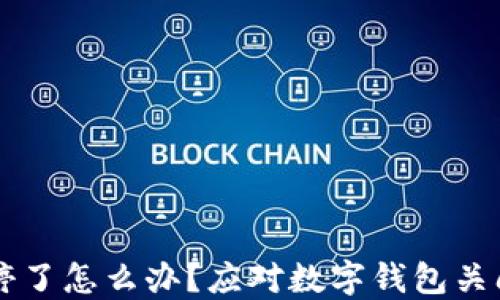 
TPWallet关停了怎么办？应对数字钱包关闭的实用指南