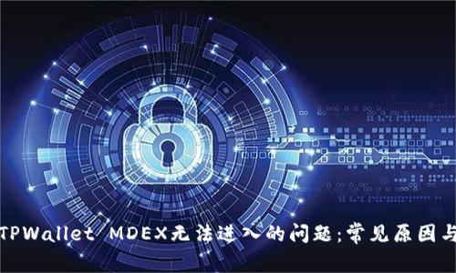 如何解决TPWallet MDEX无法进入的问题：常见原因与解决方案