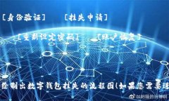 以下是数字钱包挂失流程