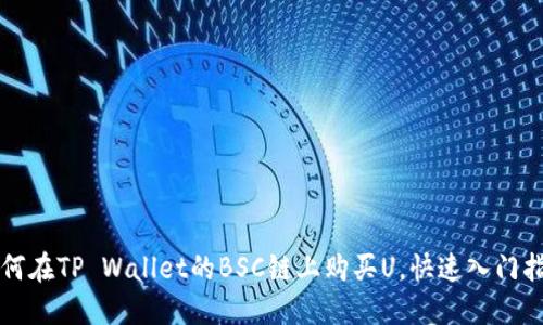 如何在TP Wallet的BSC链上购买U，快速入门指南